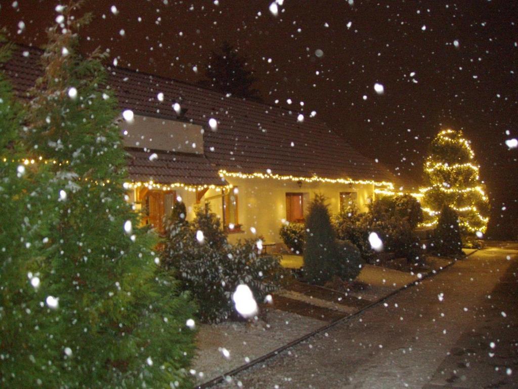 Franciska Portaja Apartment Igal Exterior foto